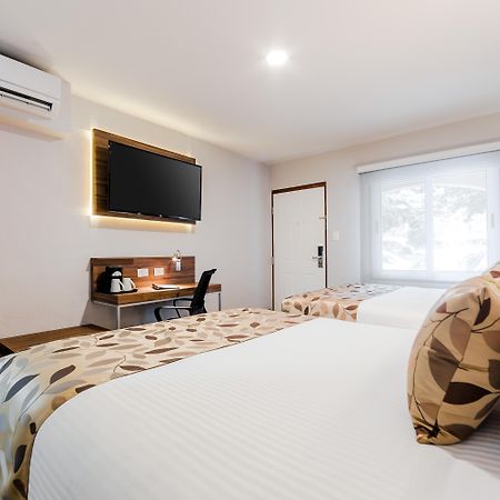 Sleep Inn Monterrey Norte San Nicolás de los Garzas Eksteriør billede