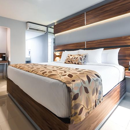 Sleep Inn Monterrey Norte San Nicolás de los Garzas Eksteriør billede